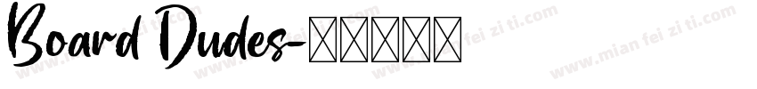 Board Dudes字体转换